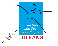 LOGO SECTION